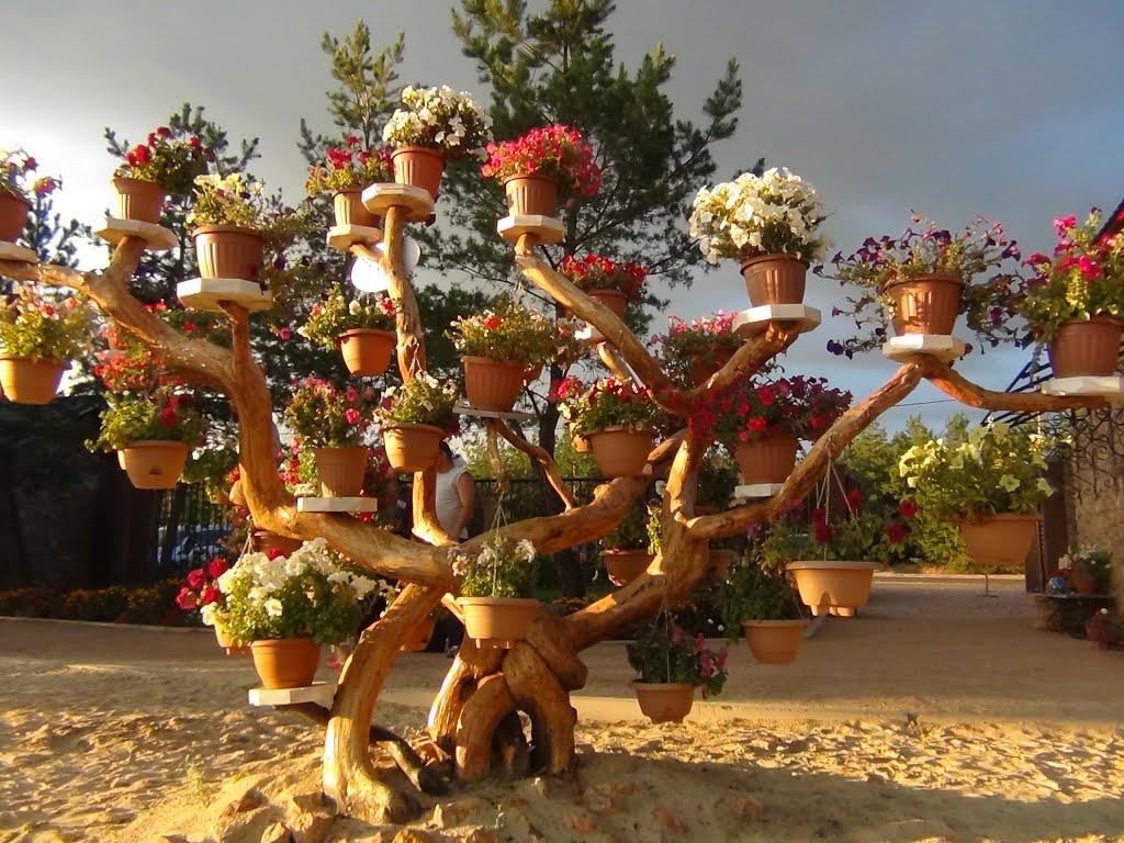 Діброва з panoramio.com - Диброва