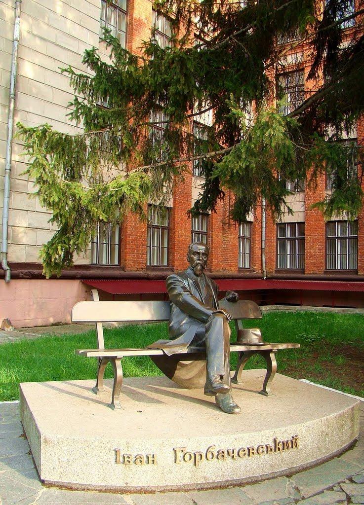 Петриків з panoramio.com (ч.2) - Петриків