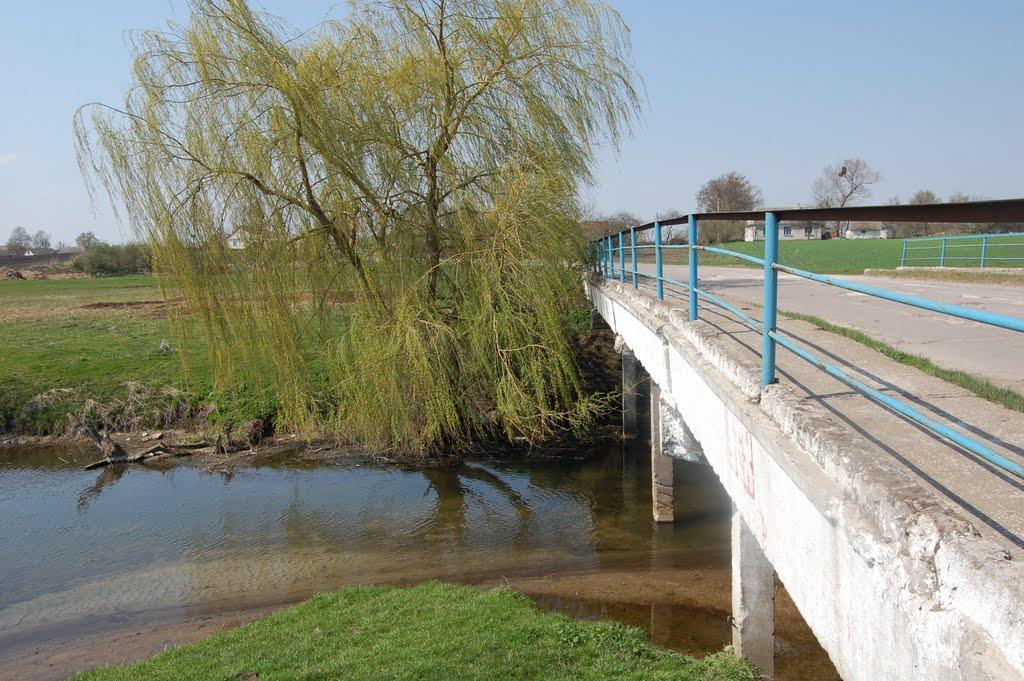 Демидівка з panoramio.com - Демидівка