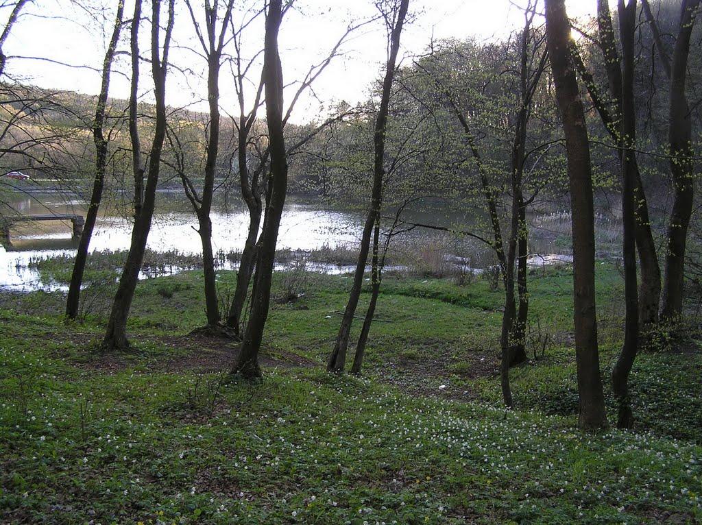 Жовнівка з panoramio.com - Zhovnivka