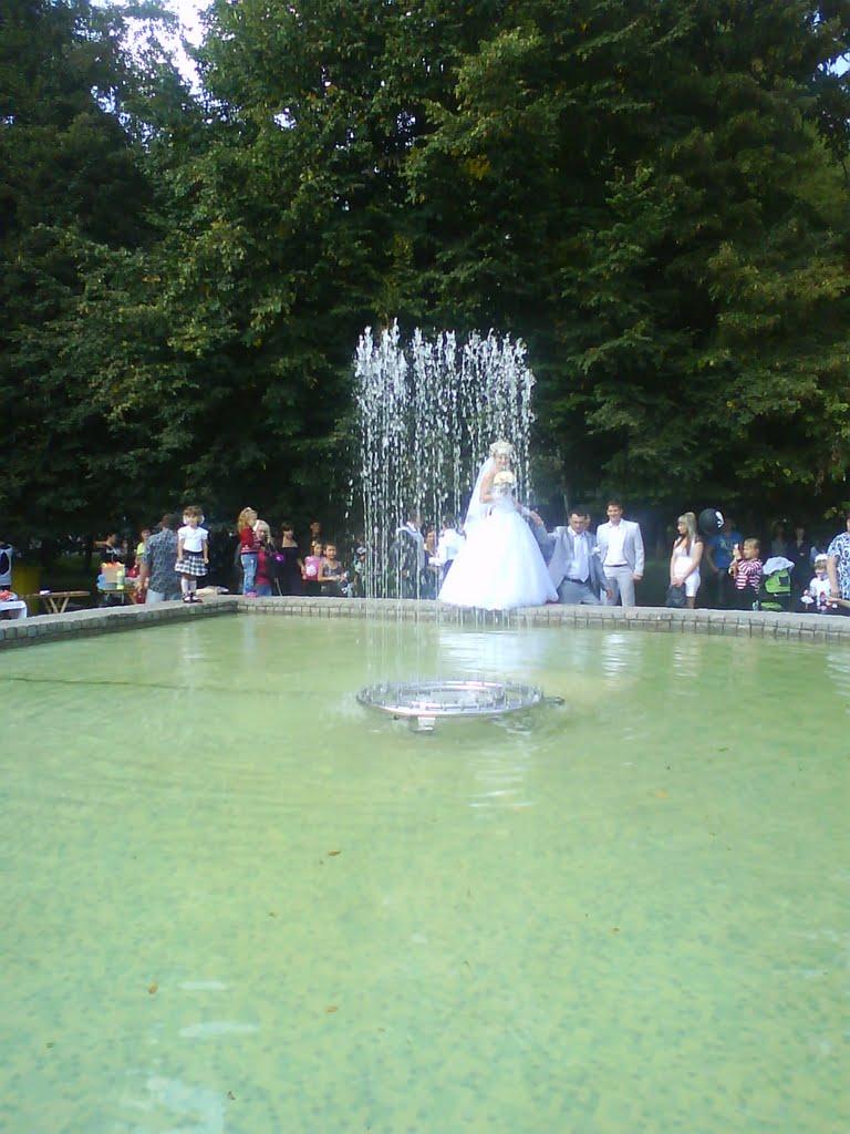 Первомайськ з panoramio.com (ч.2) - Первомайск