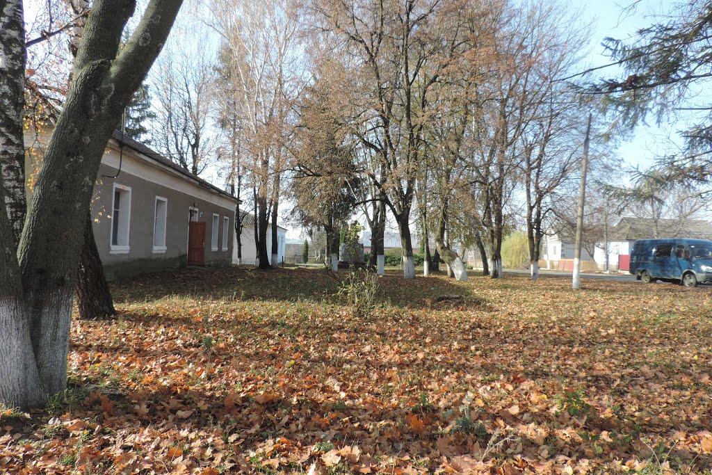 Віньківці з panoramio.com - Віньківці