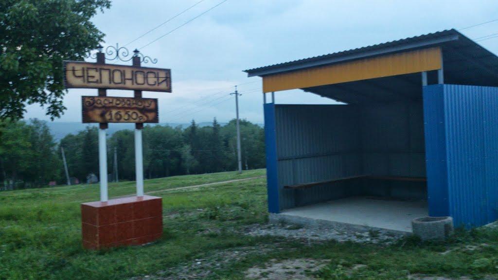 Чепоноси з panoramio.com - Чепоноси