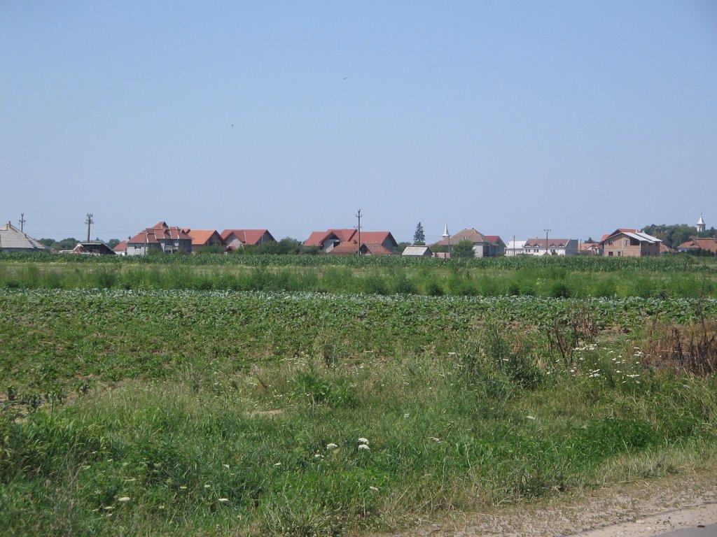 Оклі з panoramio.com - Оклі