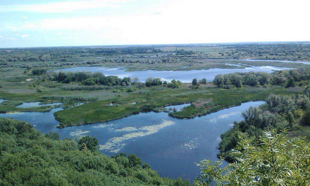 Вільховатка з panoramio.com - Вільховатка
