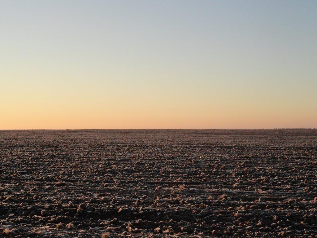 Олександрія з panoramio.com - Александрия