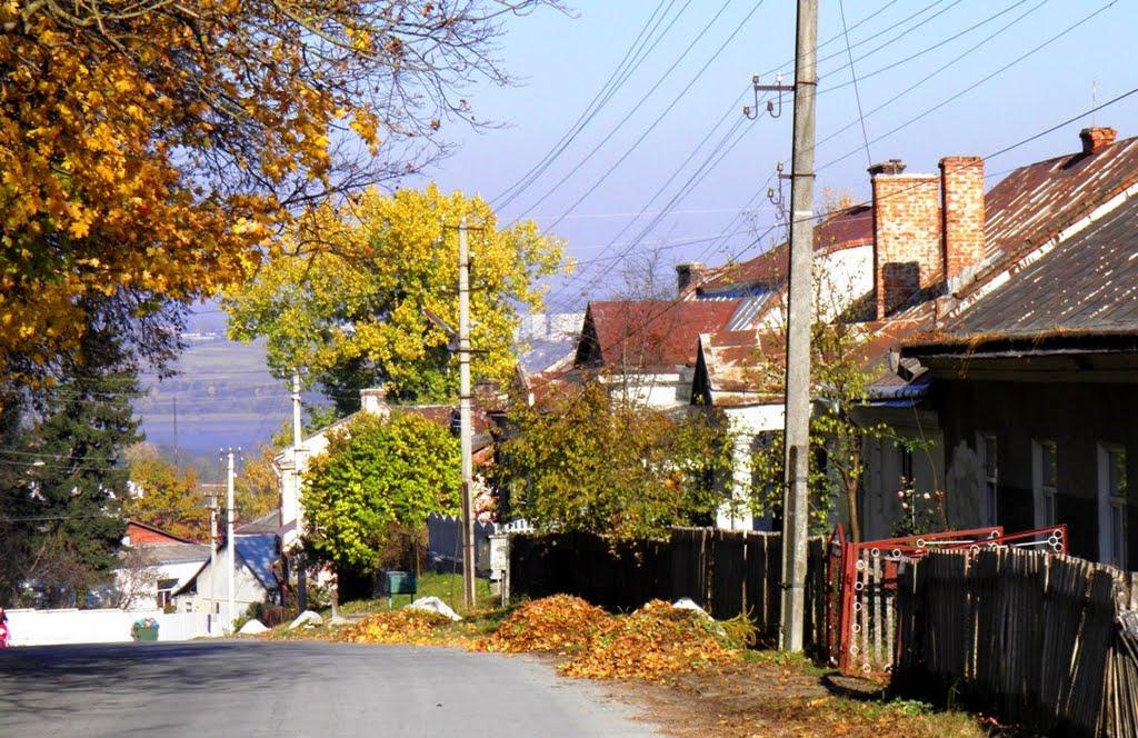 Бережани з panoramio.com - Бережаны