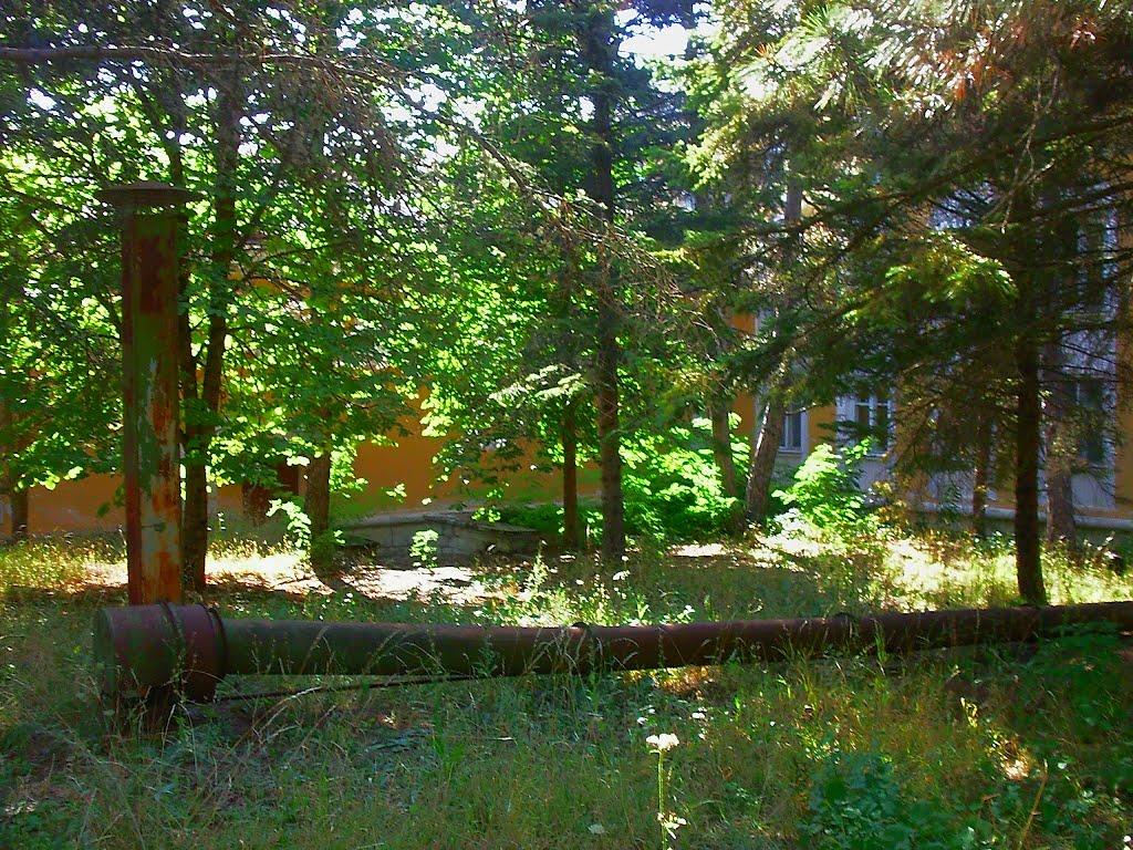 Научний з panoramio.com - Научний