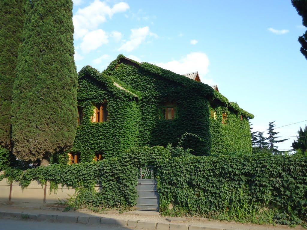 Рибаче з panoramio.com (ч.2) - Rybache
