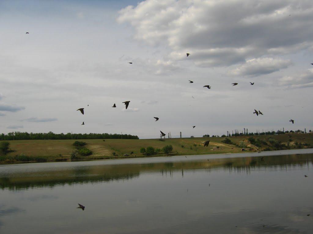 Виноградівка з panoramio.com - Виноградівка