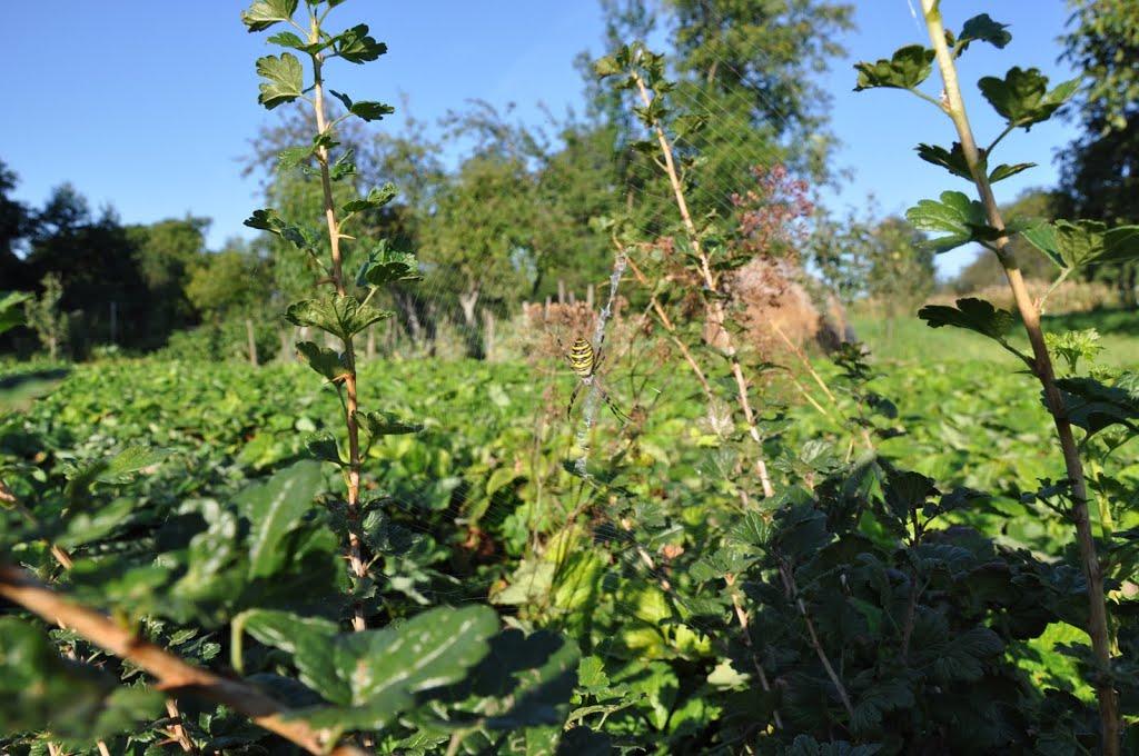 Нововолинськ з panoramio.com - Нововолинськ