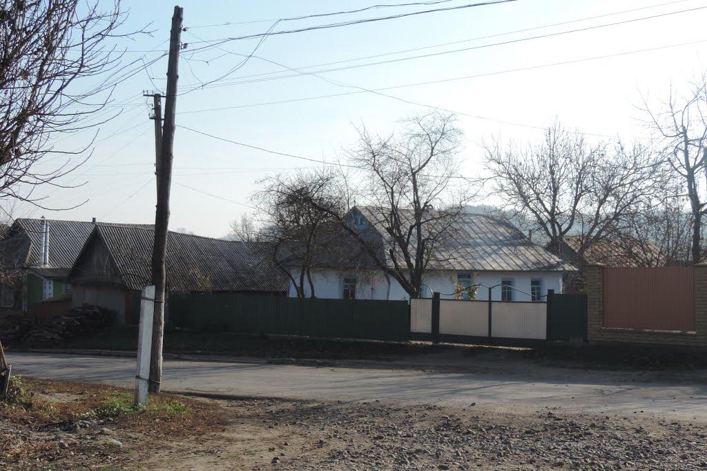 Віньківці з panoramio.com - Віньківці