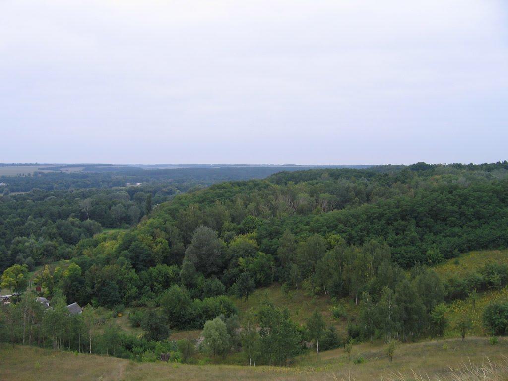 Копачів з panoramio.com - Копачов