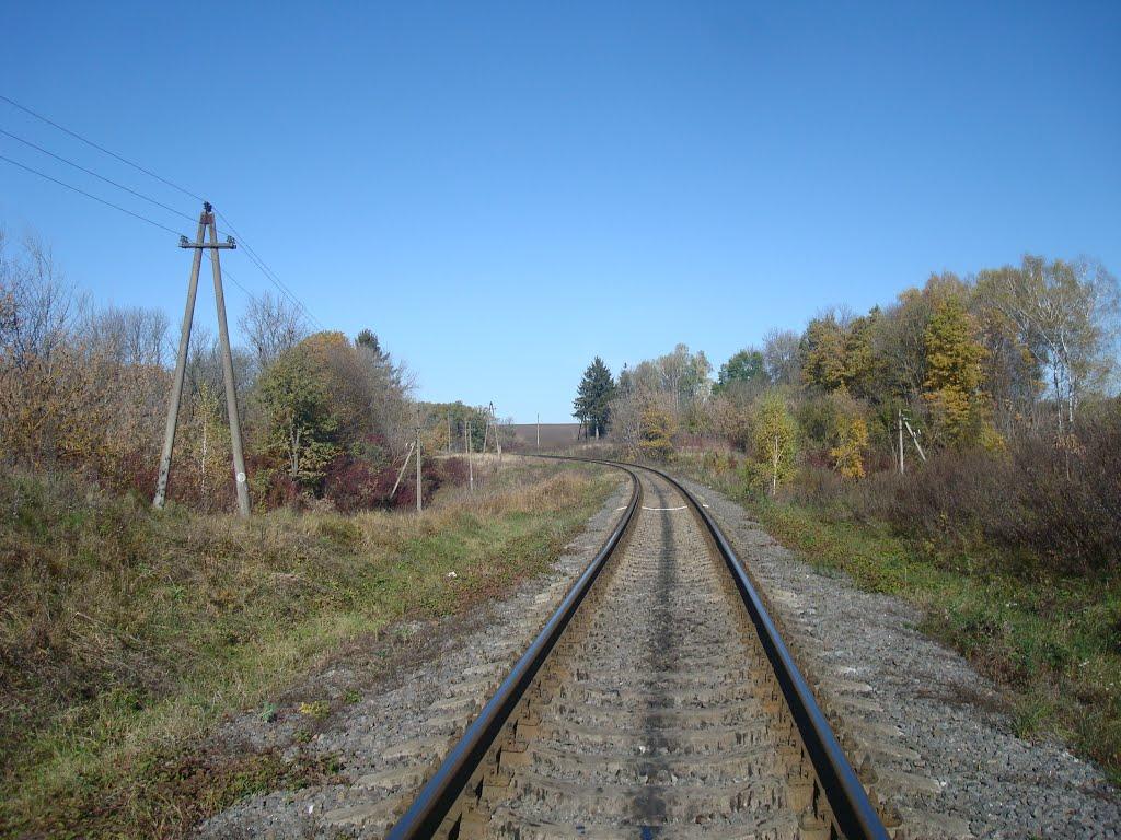 Западинці з panoramio.com - Западинці