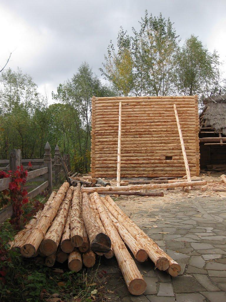 Софіївська Борщагівка з panoramio.com (ч.2) - Софиевская Борщаговка