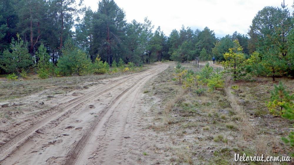 Возничі з panoramio.com - Возничи