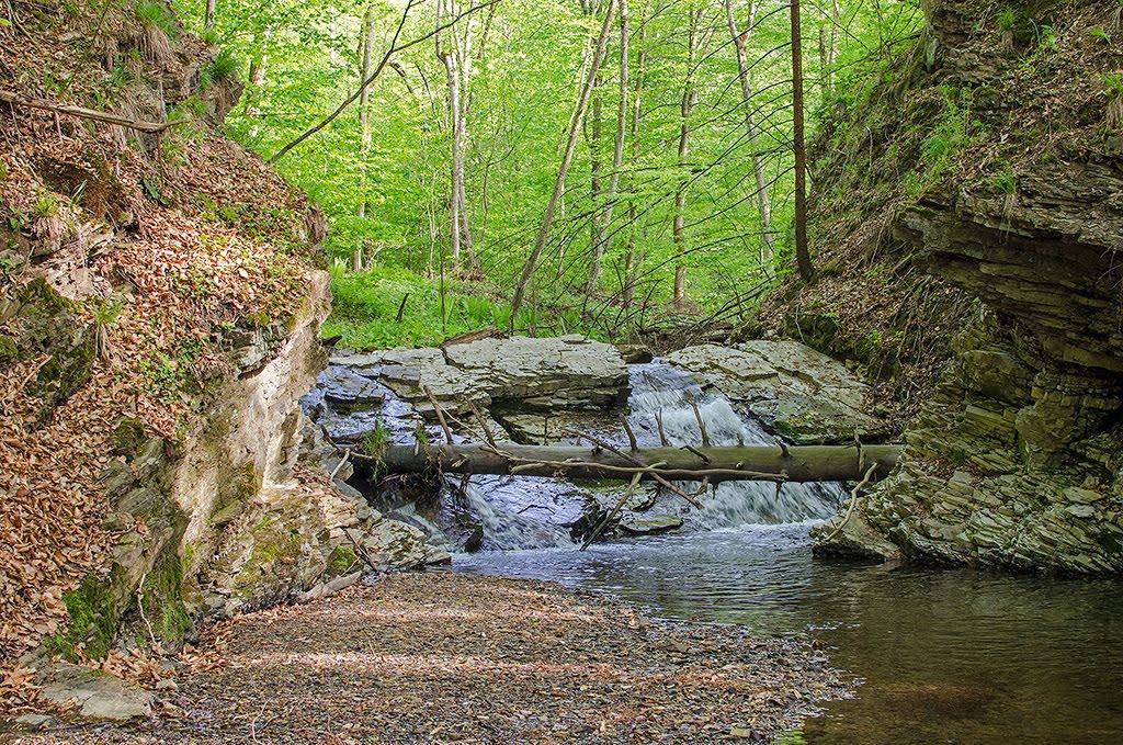 Люча з panoramio.com - Люча