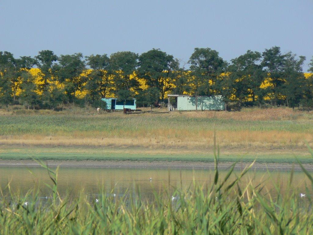 Бурлацьке з panoramio.com - Бурлацьке