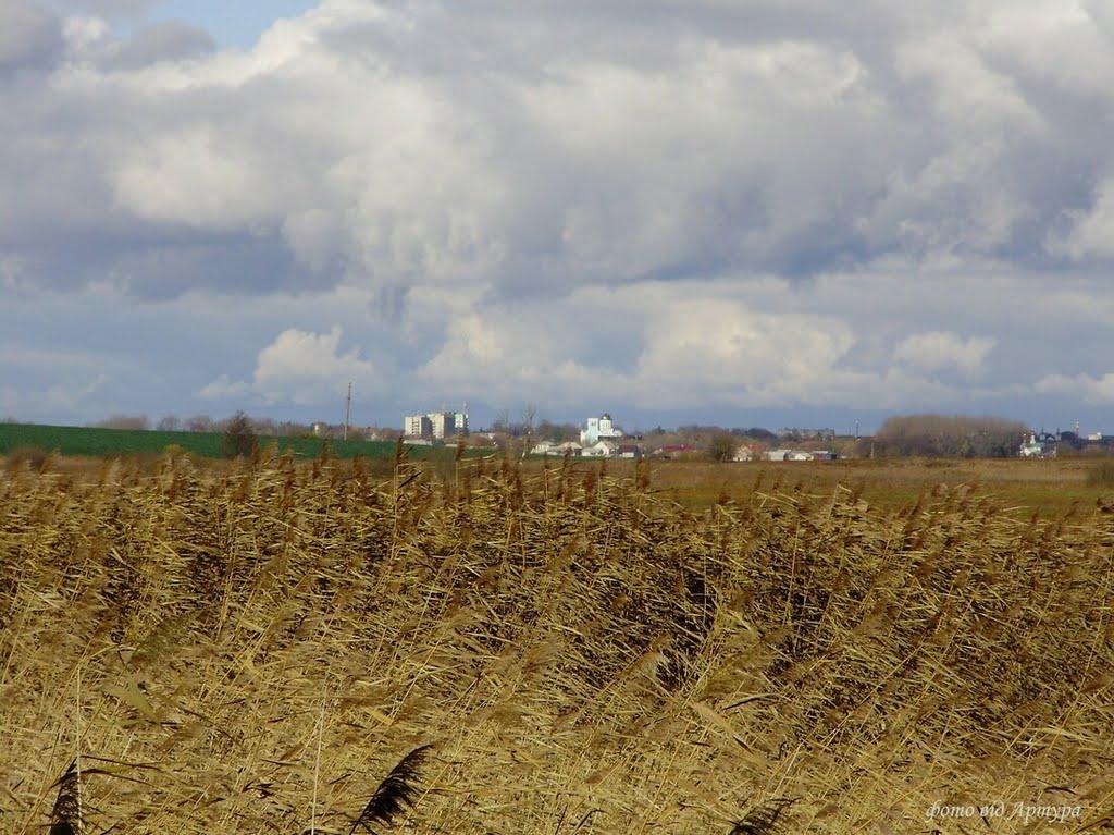 Зимне з panoramio.com - Зимне