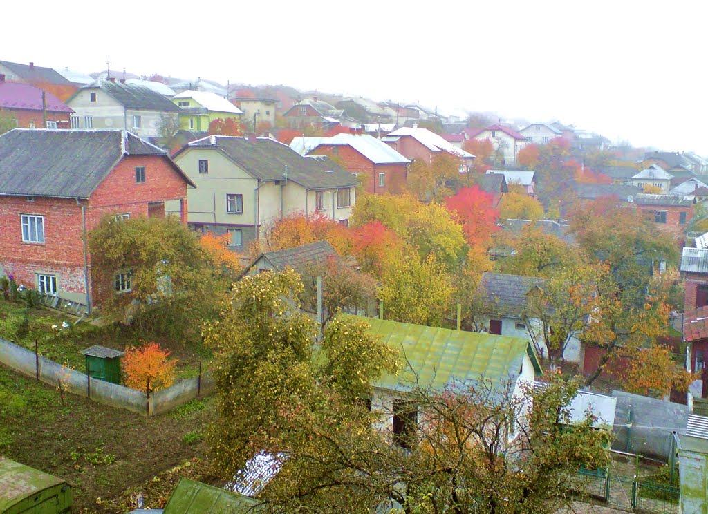 Бережани з panoramio.com - Berezhany