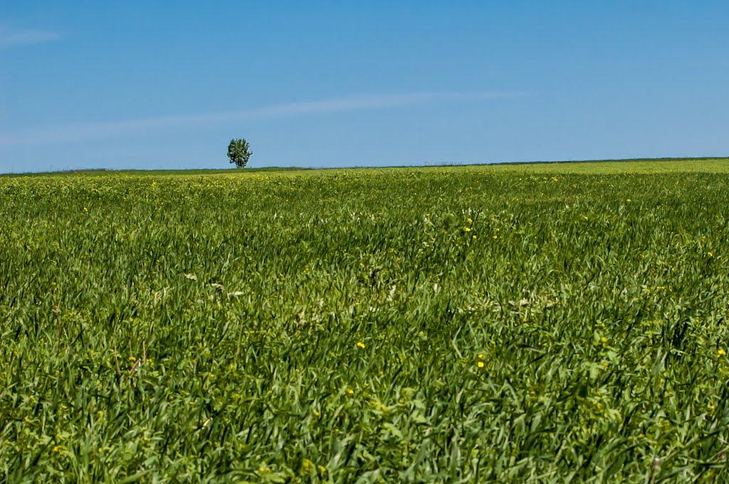 Макотерти з panoramio.com