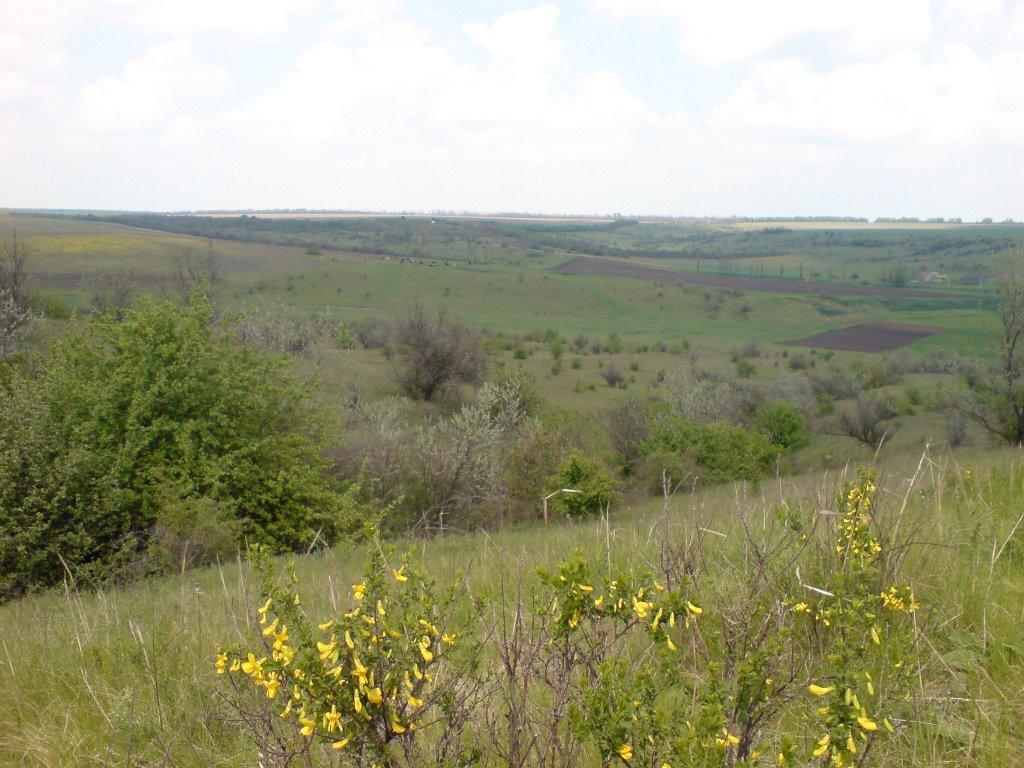 Балкове з panoramio.com - Балкове