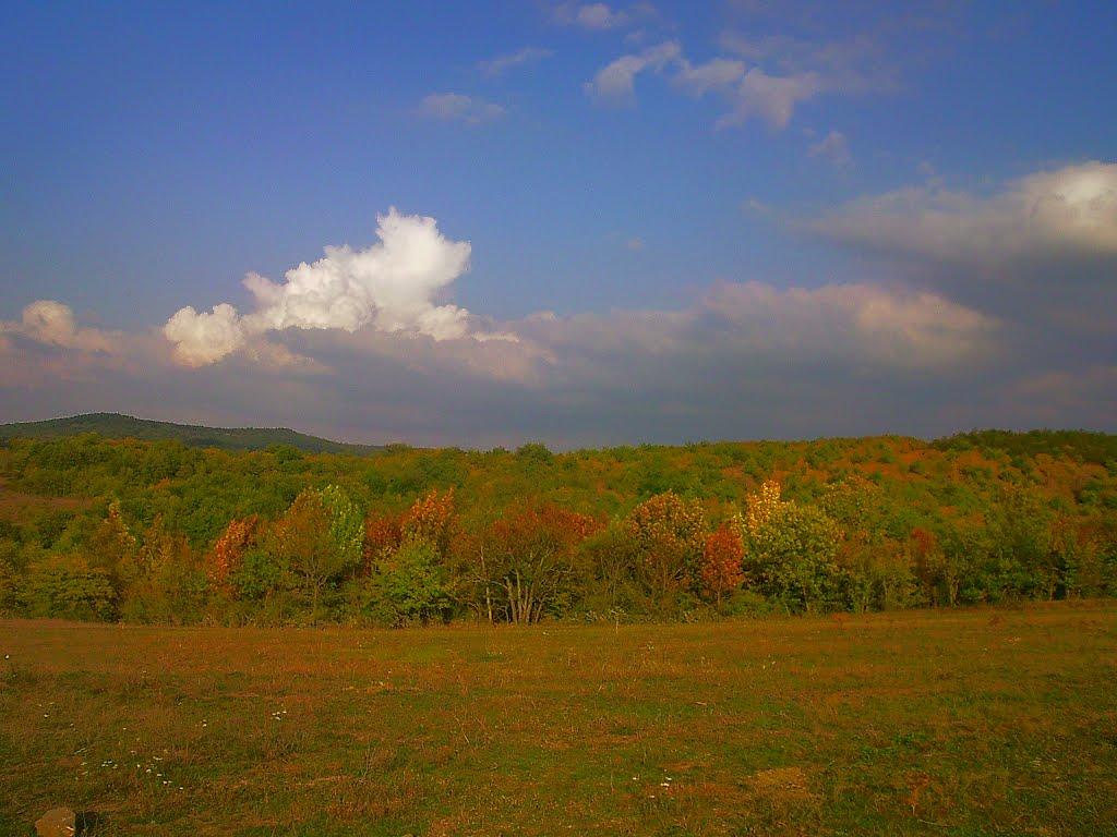 Богатир з panoramio.com - Bogatyr