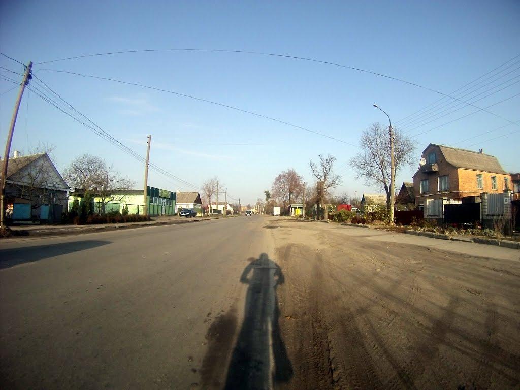Новоград-Волинський з panoramio.com (ч.3) - Новоград-Волинський