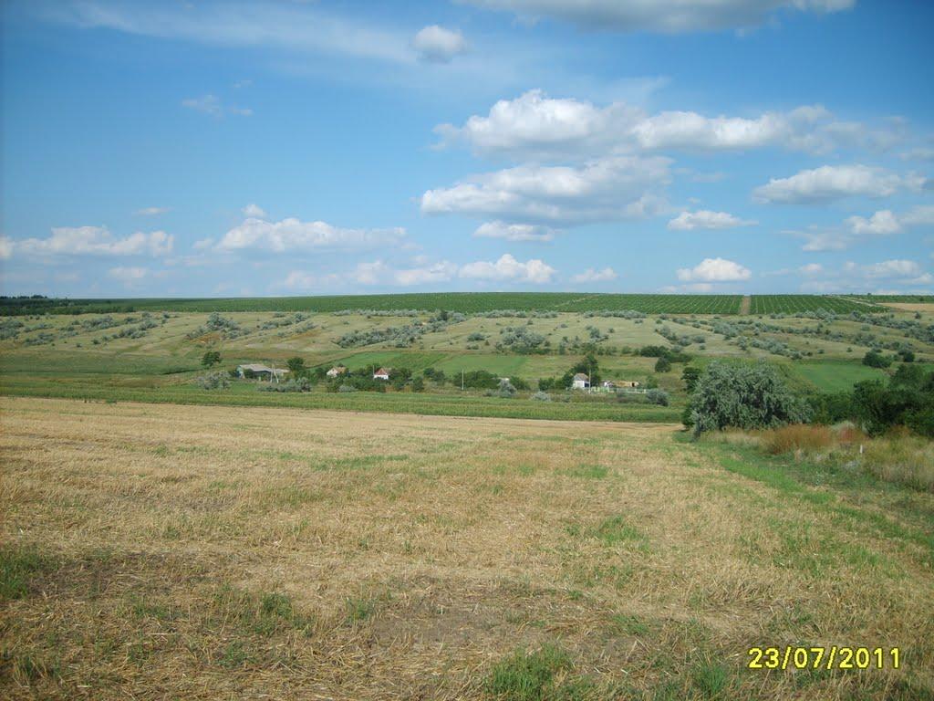 Сухувате з panoramio.com - Сухувате