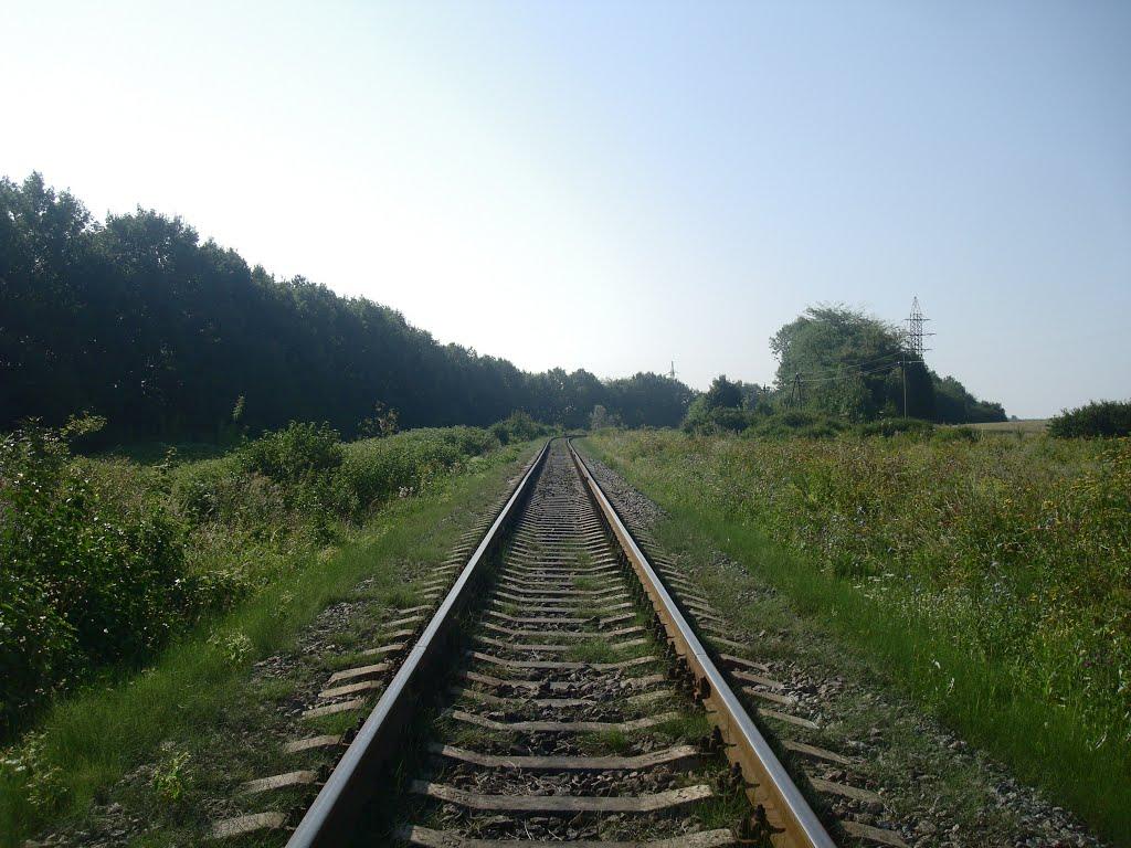 Панівці з panoramio.com - Панівці