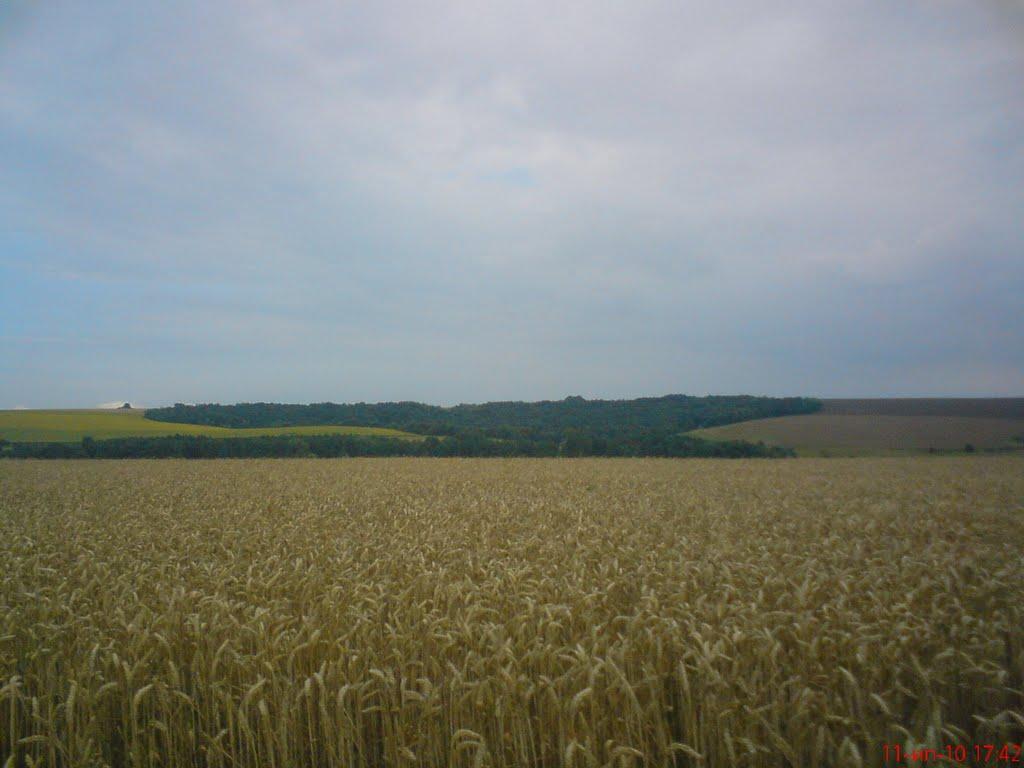 Чорна Кам'янка з panoramio.com - Чорна Кам'янка