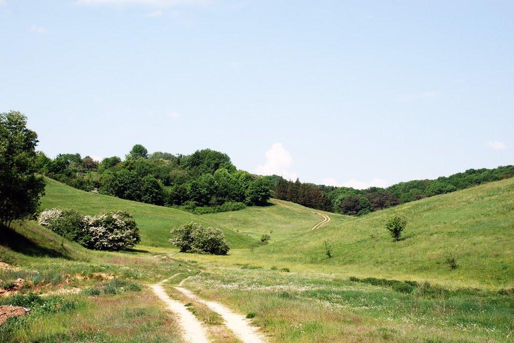 Краснокутськ з panoramio.com - Краснокутськ