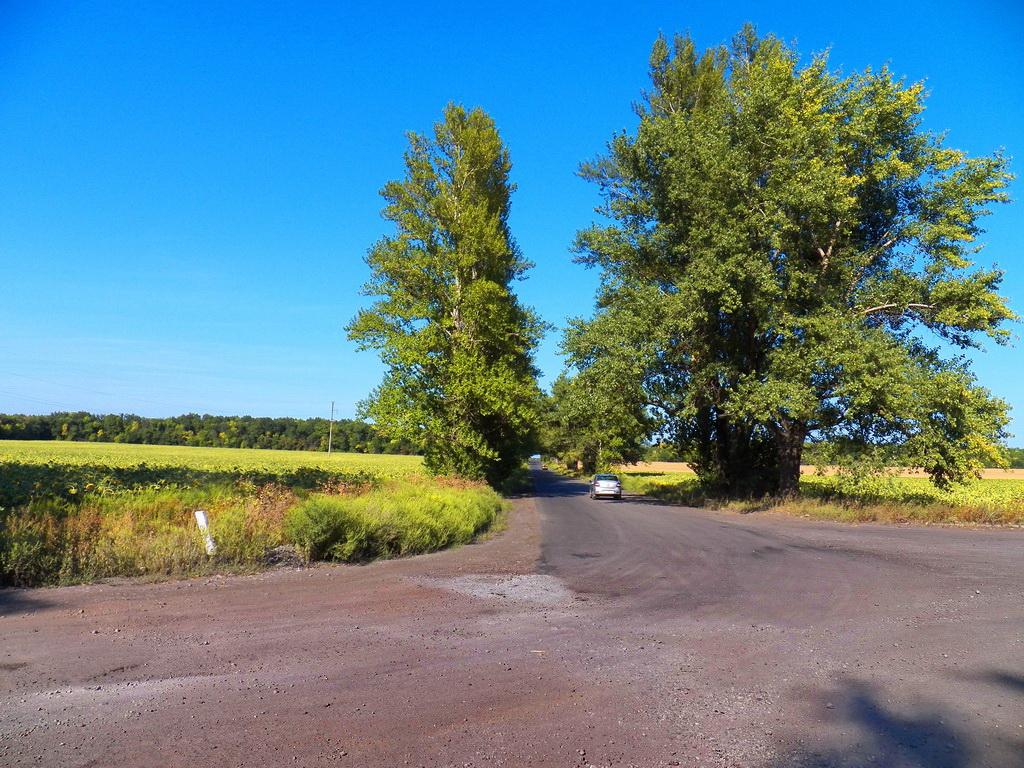 Петропавлівка з panoramio.com - Петропавловка