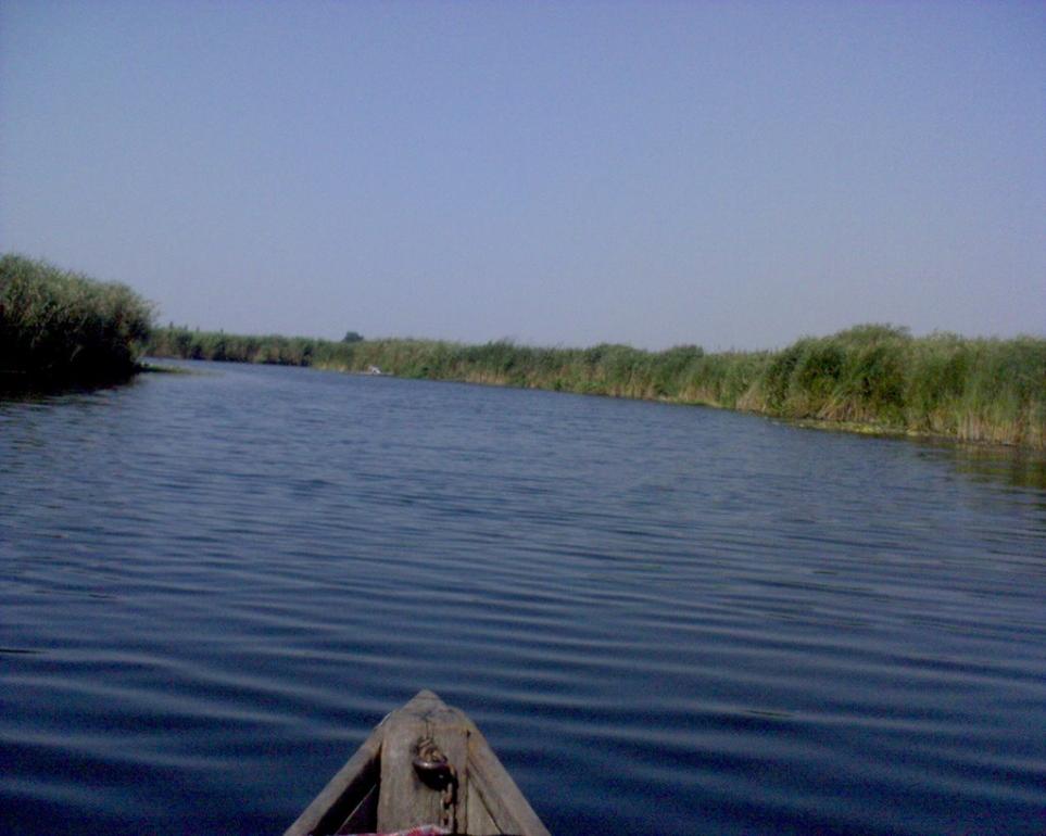 Городище-Пустоварівське з panoramio.com - Городище-Пустоваровское