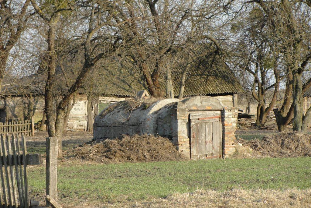 Криничне з panoramio.com - Криничне