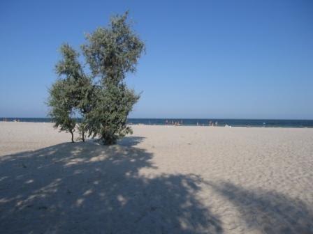 Приморське з panoramio.com - Приморське