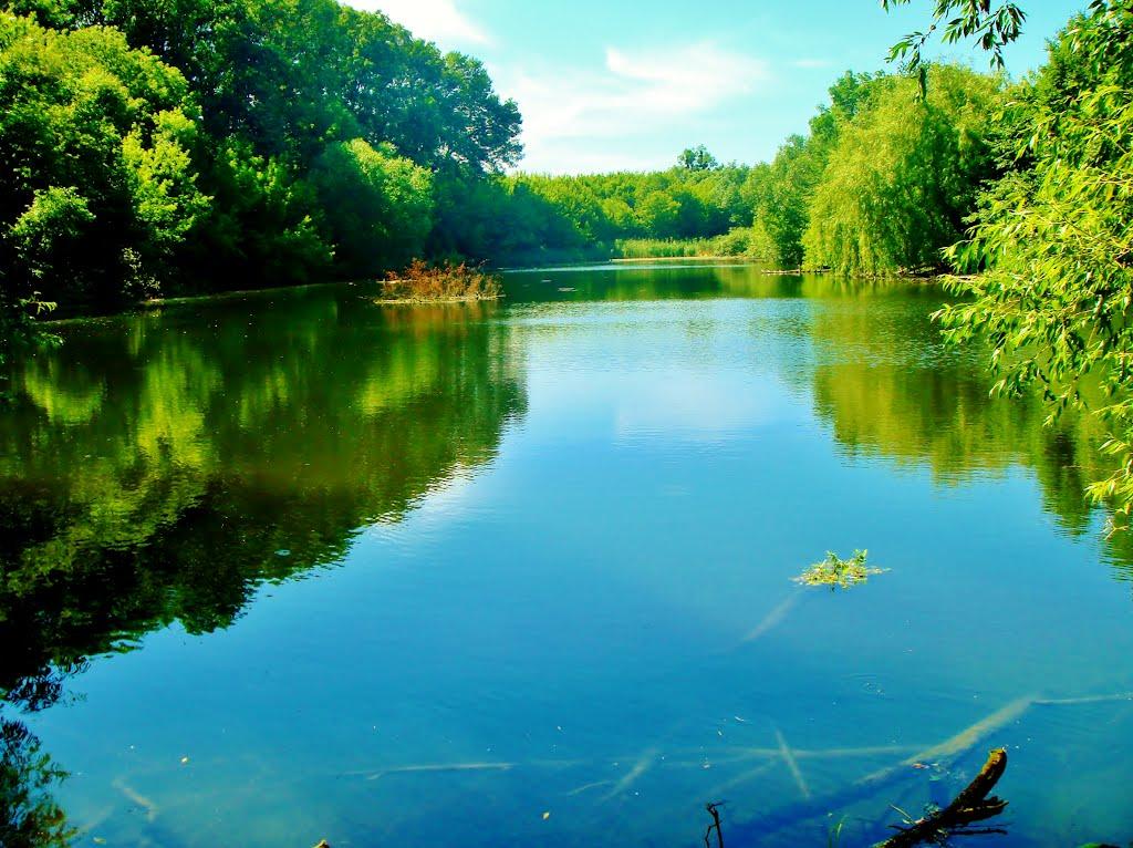 Козацьке з panoramio.com - Козацьке