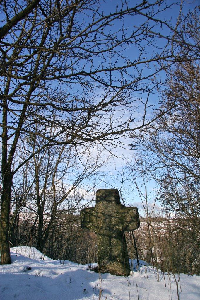 Дударі з panoramio.com - Дударі