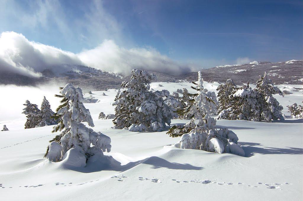 Охотниче з panoramio.com (ч.3) - Okhotnyche
