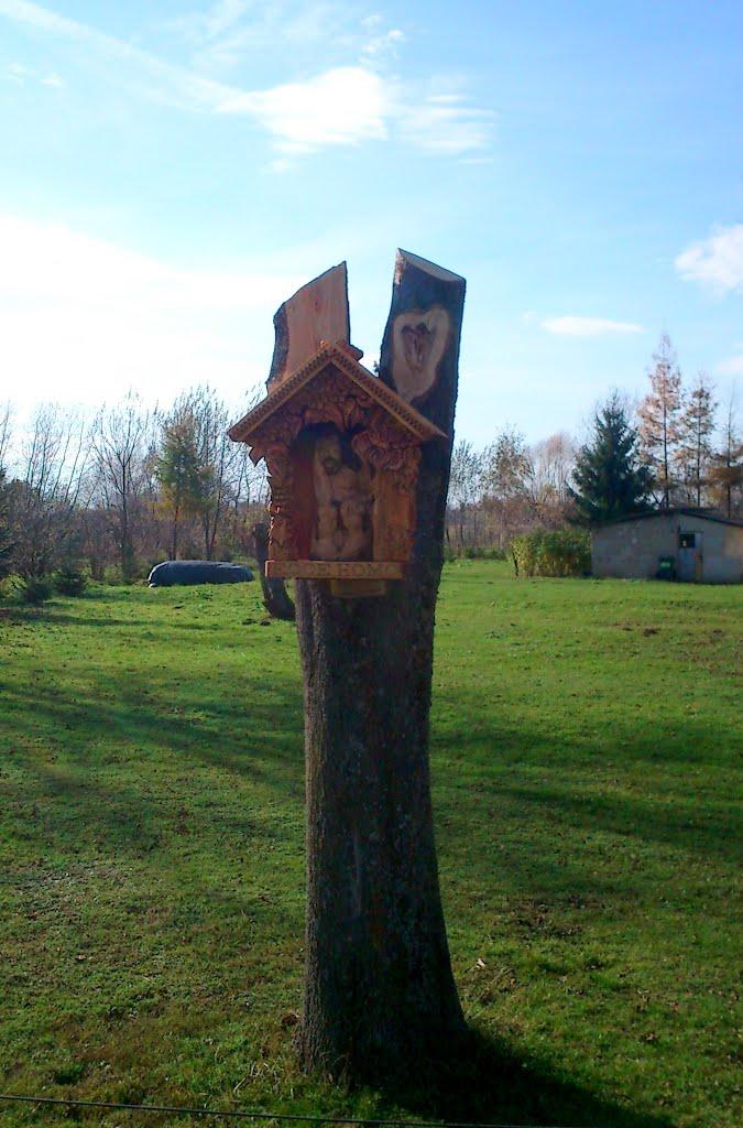 Буців з panoramio.com - Буців