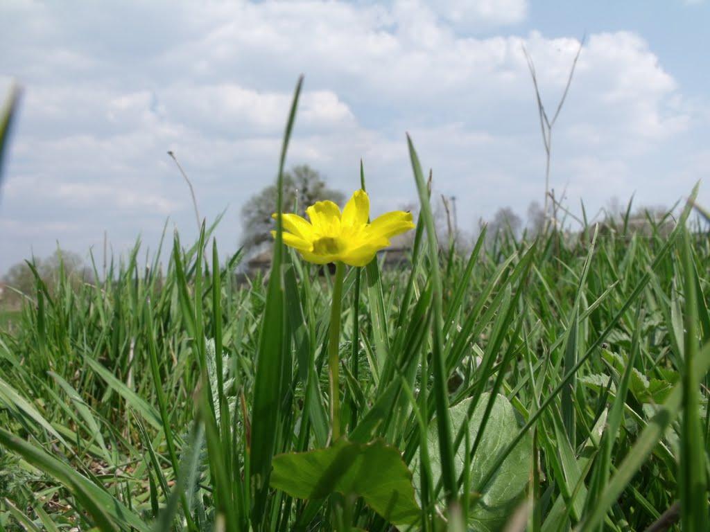 Бабаї з panoramio.com - Babayi