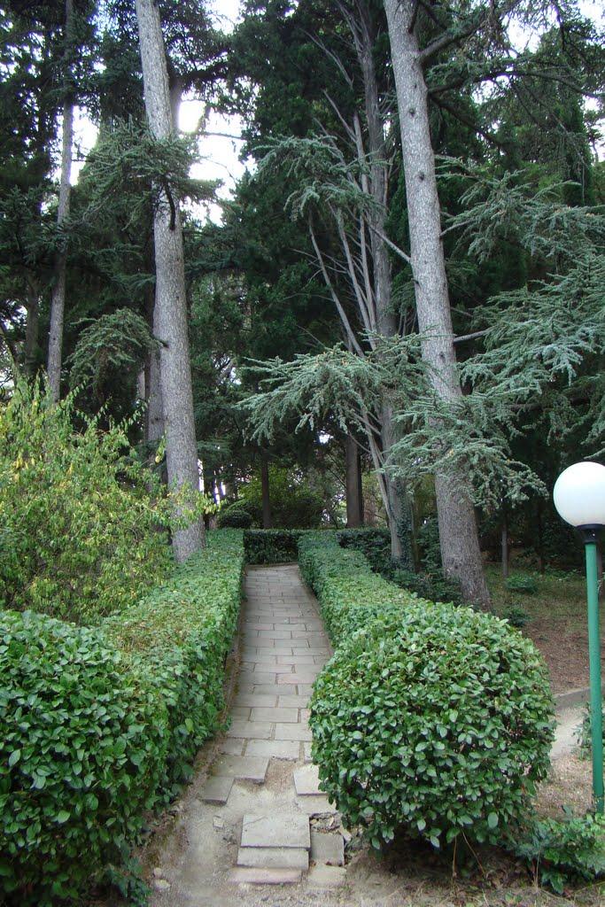 Партеніт з panoramio.com (ч.2) - Партеніт