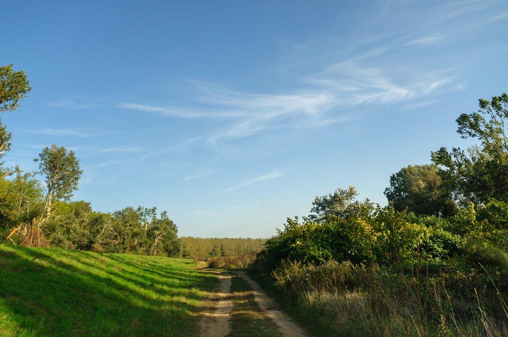 Розівка з panoramio.com (ч.2) - Розівка