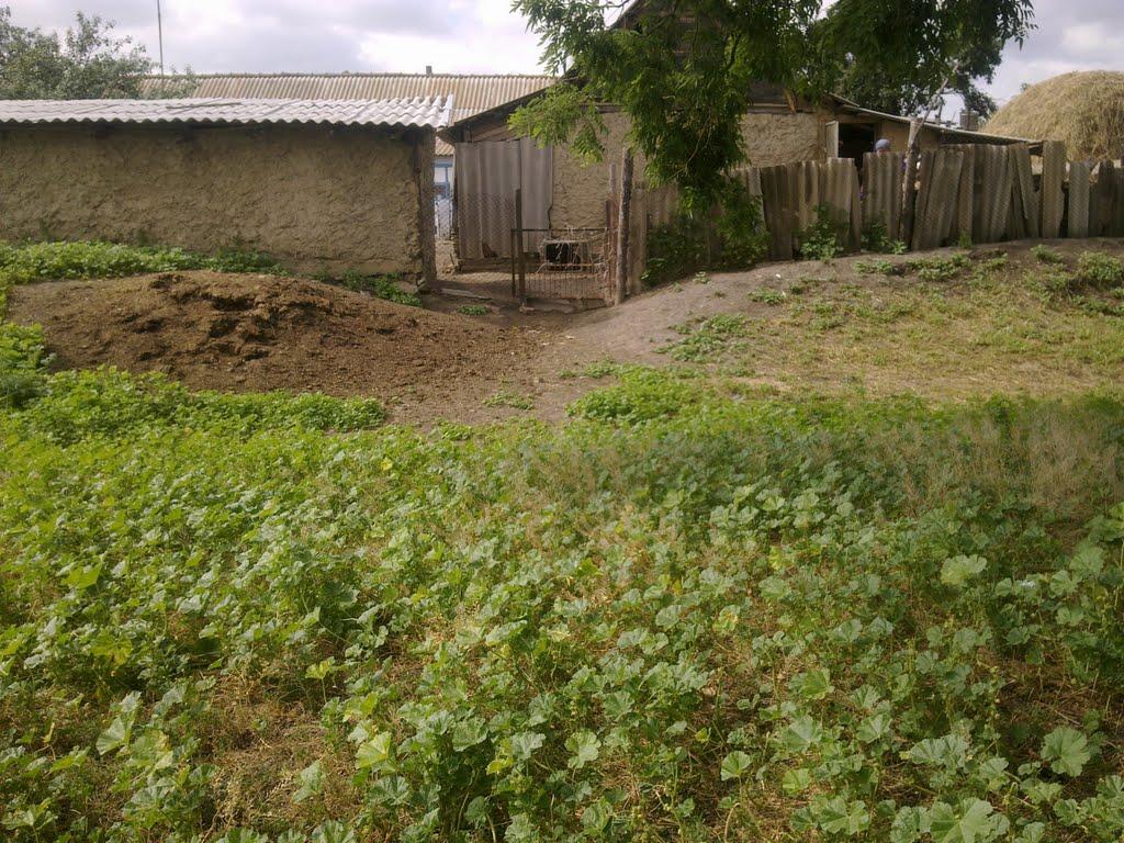 Юр'ївка з panoramio.com - Юр'ївка