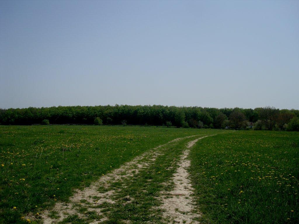 Вільховець з panoramio.com - Вільховець