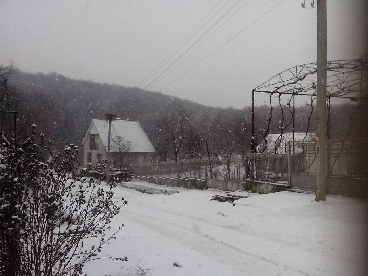 Зима 2016 в селі Букове - Букове