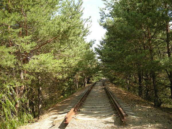 ЛIПЛЯВО - Ліпляве