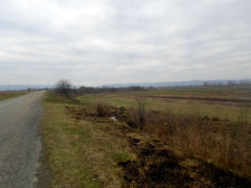 краєвид - Zhulyn