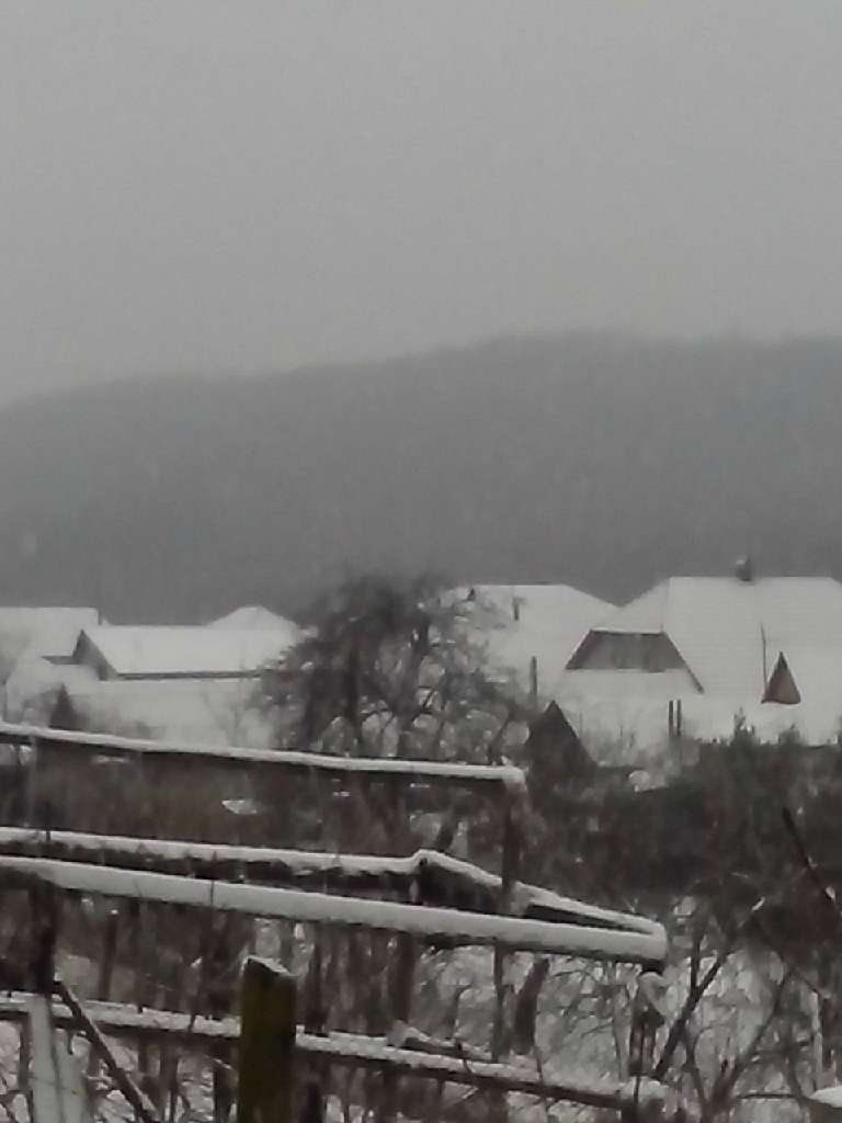 Зима 2016 в селі Букове - Букове