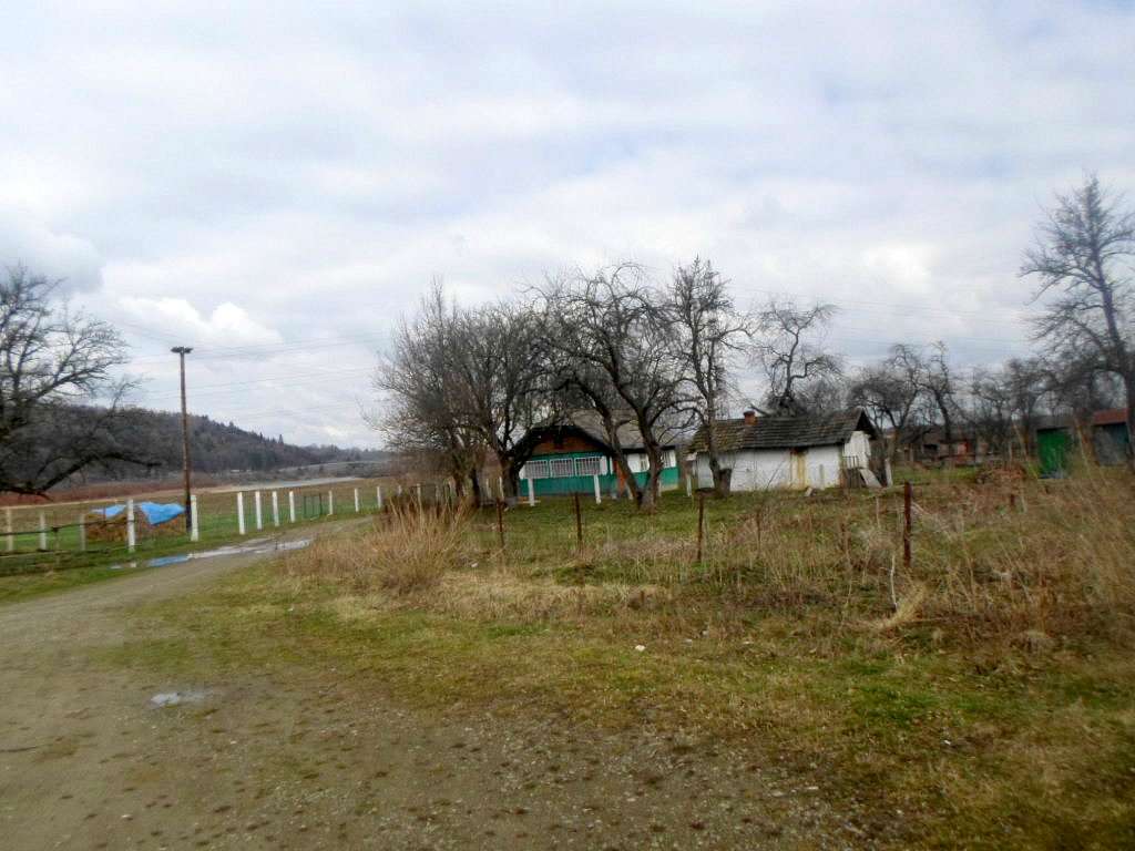 краєвид - Розгирче